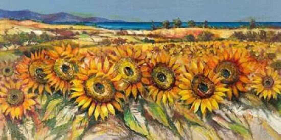 Posterazzi Campo di girasoli Canvas Art - Luigi Florio (24 x 48)