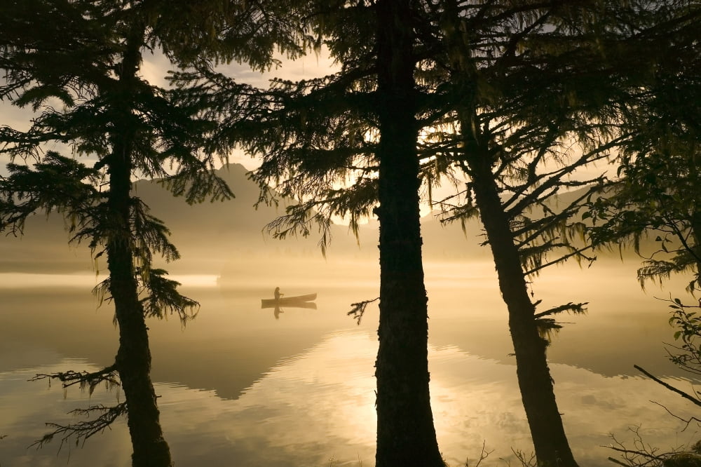 Posterazzi Canoeist On Mendenhall Lake In Morning Mist Se Ak Summer Silhouette Canvas Art - Michael DeYoung Design Pics (34 x 22)