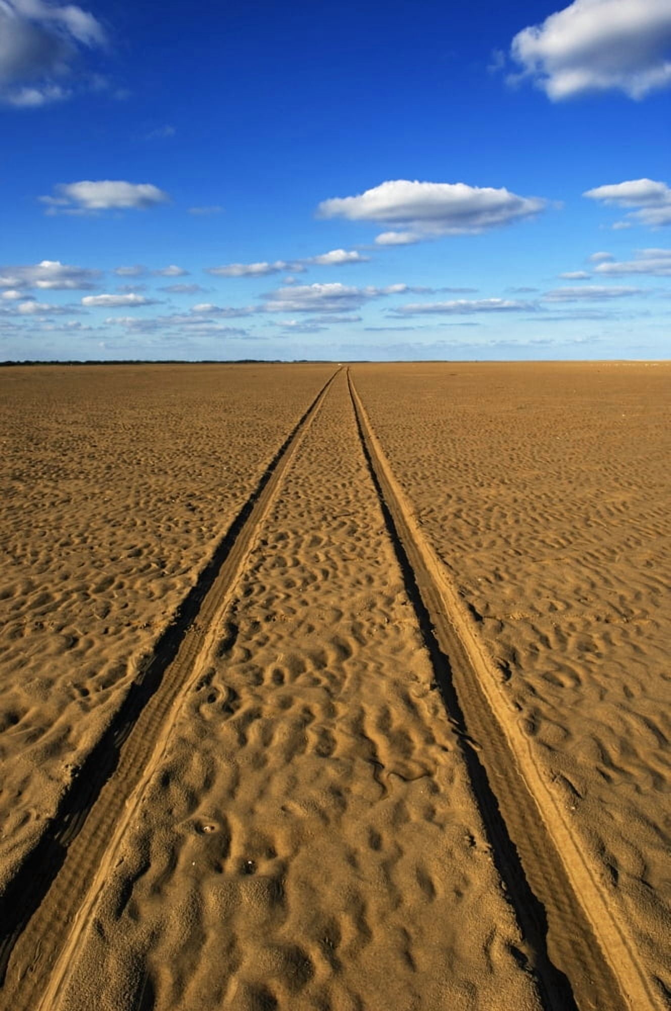 Posterazzi Car Tracks On A Deserted Sandy Beach Canvas Art - Chris Parker  Design Pics (24 x 38)
