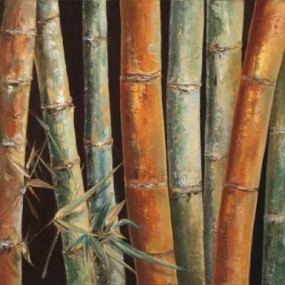 Posterazzi Caribbean Bamboo I Canvas Art - Tita Quintero (24 x 24)