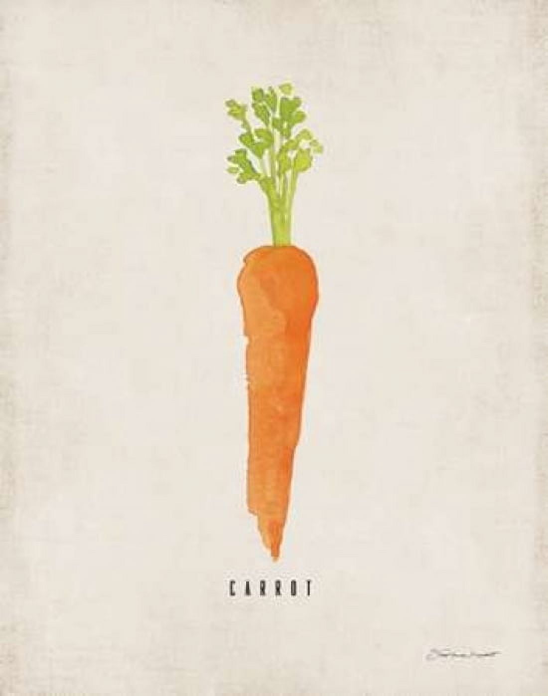 Posterazzi Carrot Canvas Art - Stephanie Marrott (22 x 28)