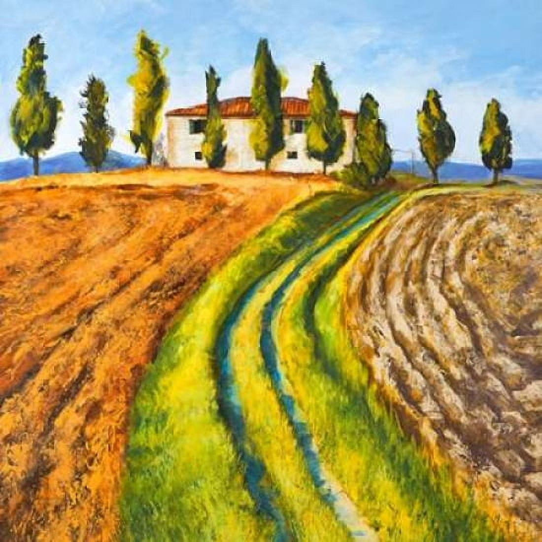 Posterazzi Casa di campagna Canvas Art - Massimo Germani (24 x 24)