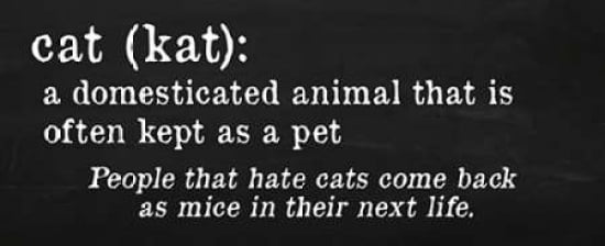 Posterazzi Cat Definition Canvas Art - Anna Quach (24 x 48)