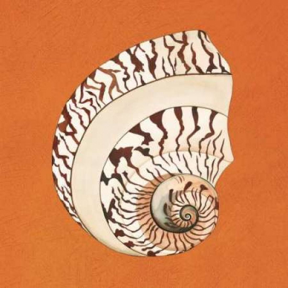 Posterazzi Cayman Quartet B Canvas Art - Judy Shelby (24 x 24)