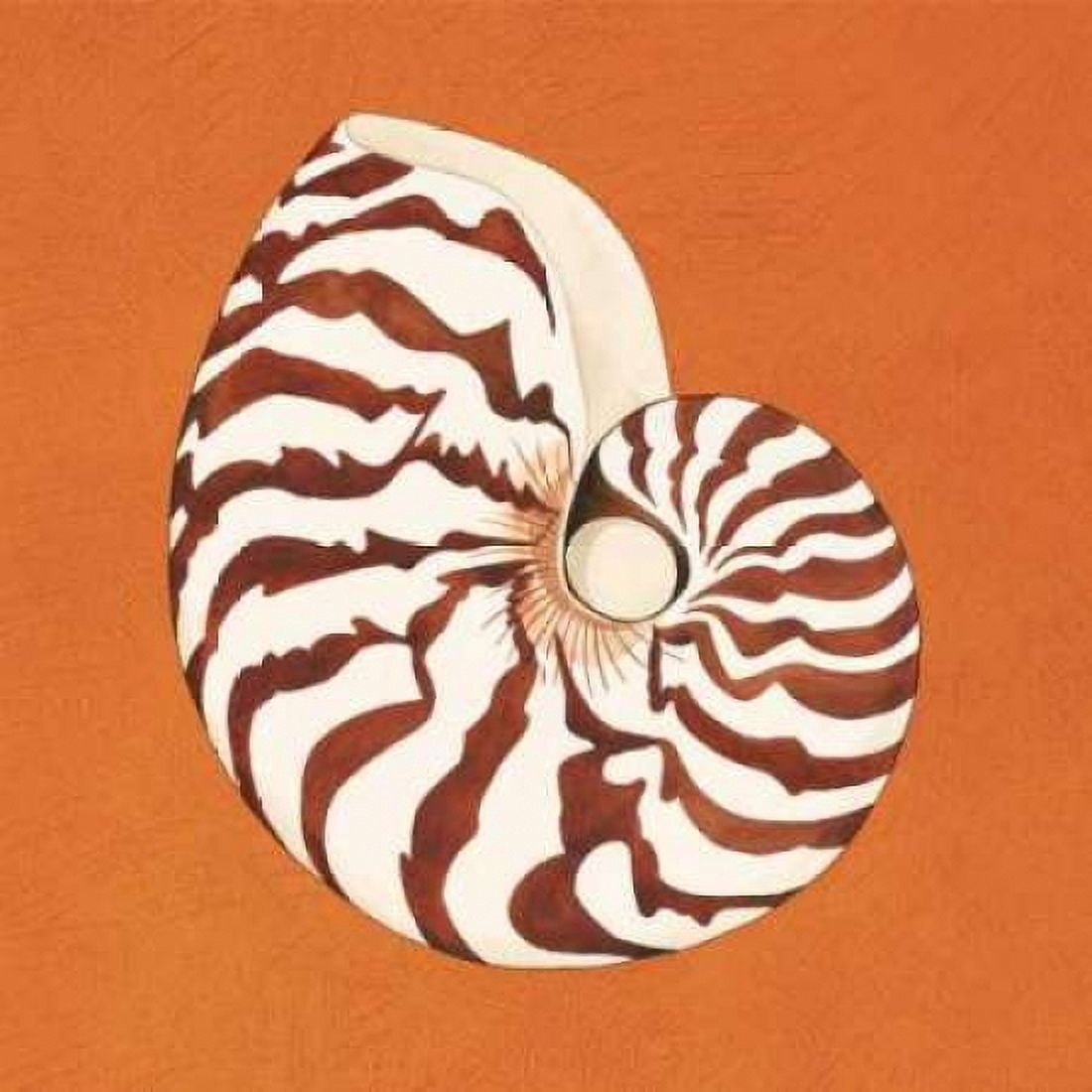 Posterazzi Cayman Quartet C Canvas Art - Judy Shelby (24 x 24)