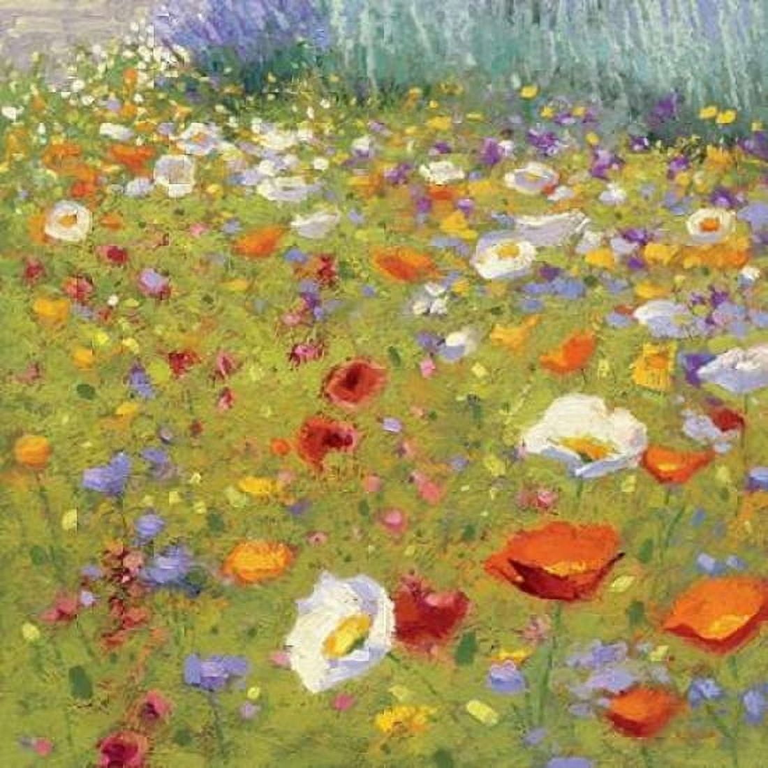 Posterazzi Champ de Fleur II Canvas Art - Shirley Novak (24 x 24)