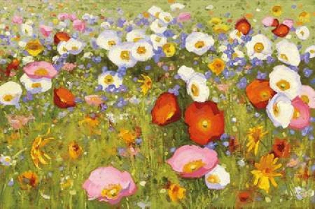 Posterazzi Champ de Fleur III Canvas Art - Shirley Novak (24 x 36)