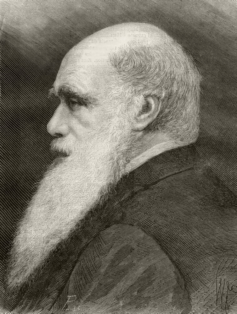 Posterazzi Charles Darwin 1809 - 1882 English Naturalist From Nuestro Siglo Published Barcelona 1883 Canvas Art - Ken Welsh Design Pics (24 x 34)