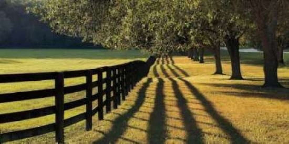 Posterazzi Chasing Shadows Canvas Art - Mike Jones (24 x 48)
