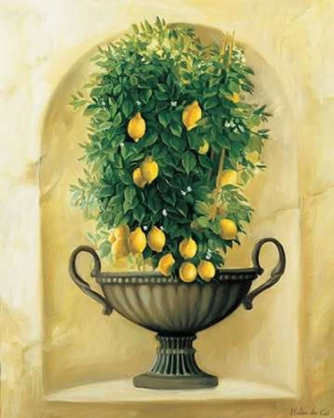 Posterazzi Citrons Canvas Art - Milieu du Ciel (20 x 24)