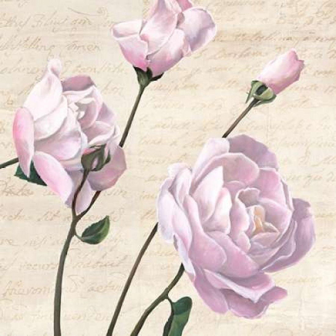 Posterazzi Classica III Canvas Art - Remy Dellal (24 x 24)