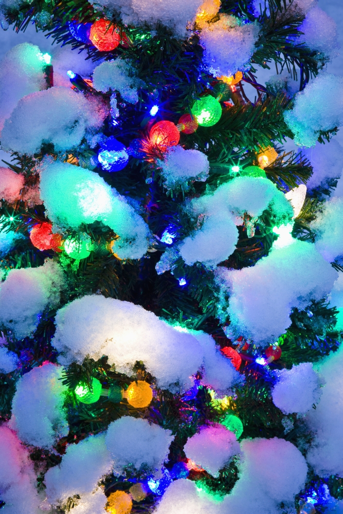 Posterazzi Close Up Of A Multi-Colored Christmas Tree Lit At Dusk Outside In Winter Canvas Art - Kevin Smith Design Pics (24 x 38)