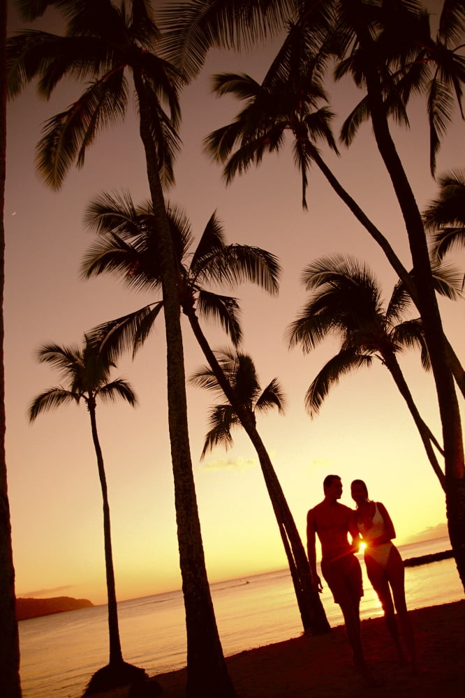 Posterazzi Close-Up Of Couple In Park Heads Together Palm Trees Silhouetted By Sunset Canvas Art - Dana Edmunds Design Pics (24 x 38)