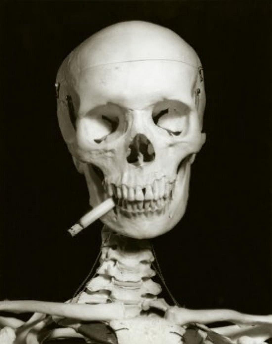 Posterazzi Close-up of a human skeleton with a burning cigarette in its mouth Canvas Art - (24 x 36)