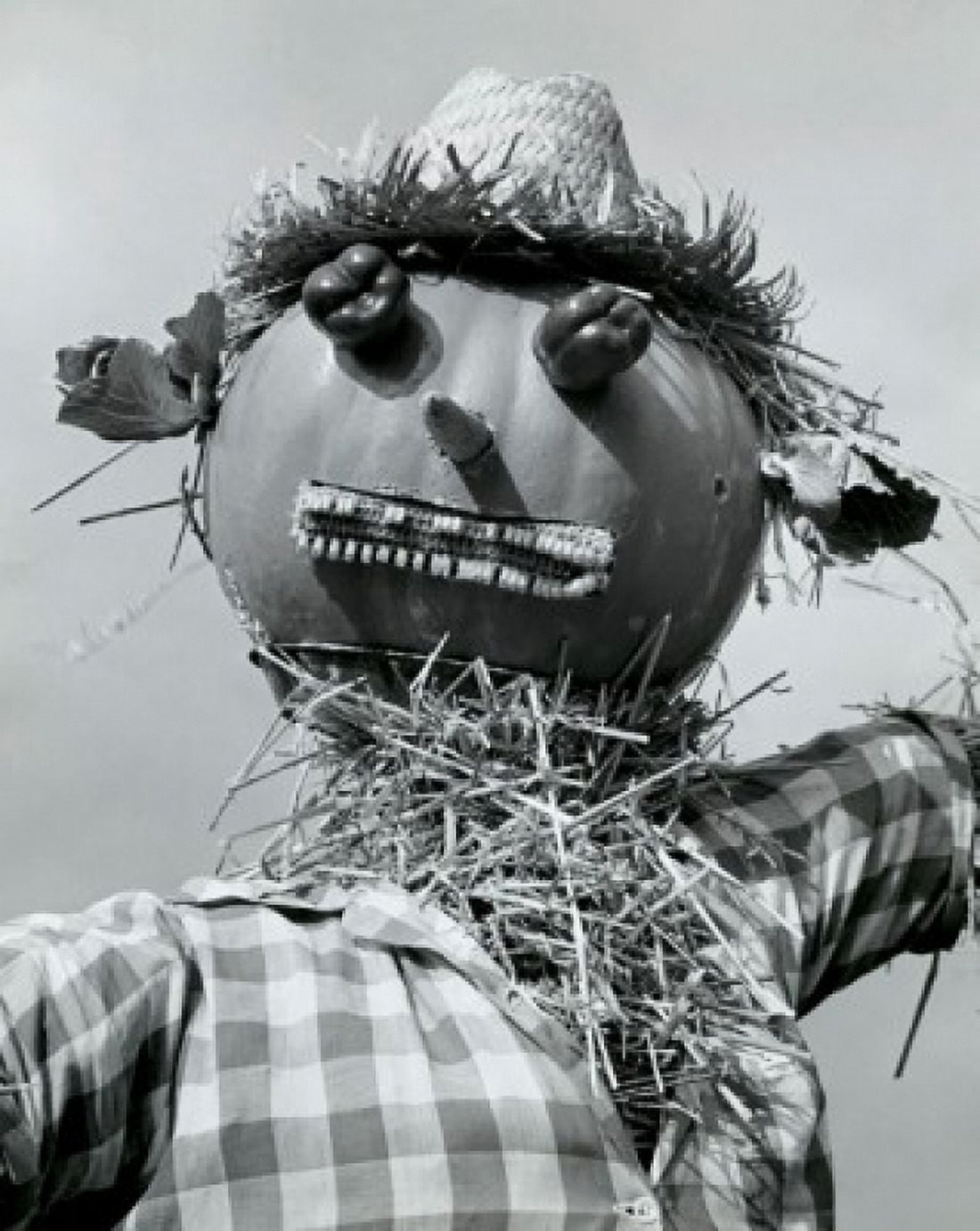 Posterazzi Close-up of a scarecrow Canvas Art -  (24 x 36)
