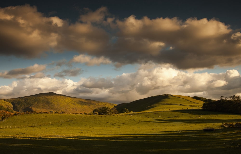 Posterazzi Clouds casting shadows on a hilly landscape with sheep grazing on the hillsideNorthumberland england Canvas Art - John Short Design Pics (38 x 24)
