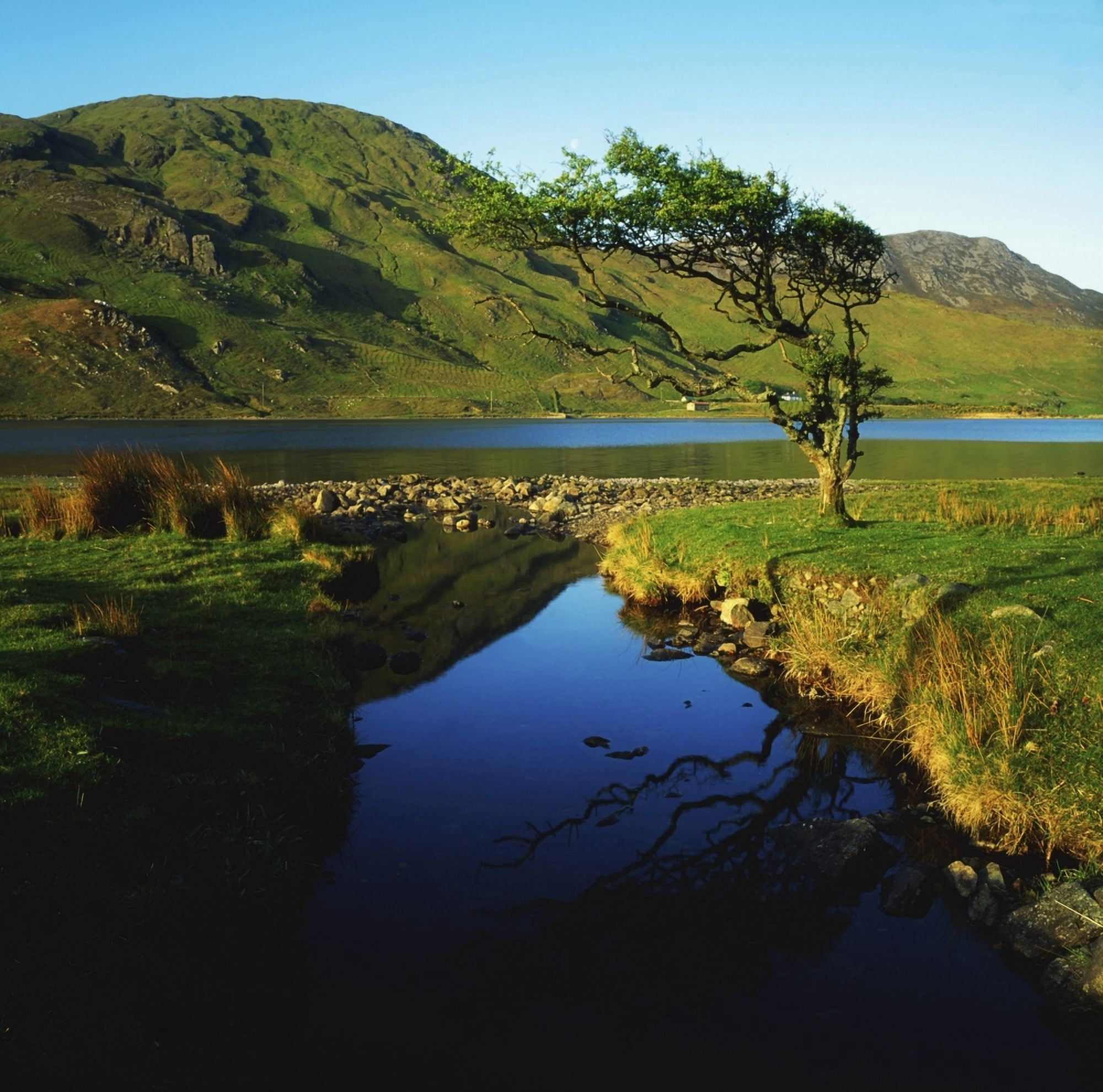 Posterazzi Co Galway Kylemore Lough Benbaun Mountain Connemara Canvas Art - The Irish Image Collection Design Pics (24 x 24)