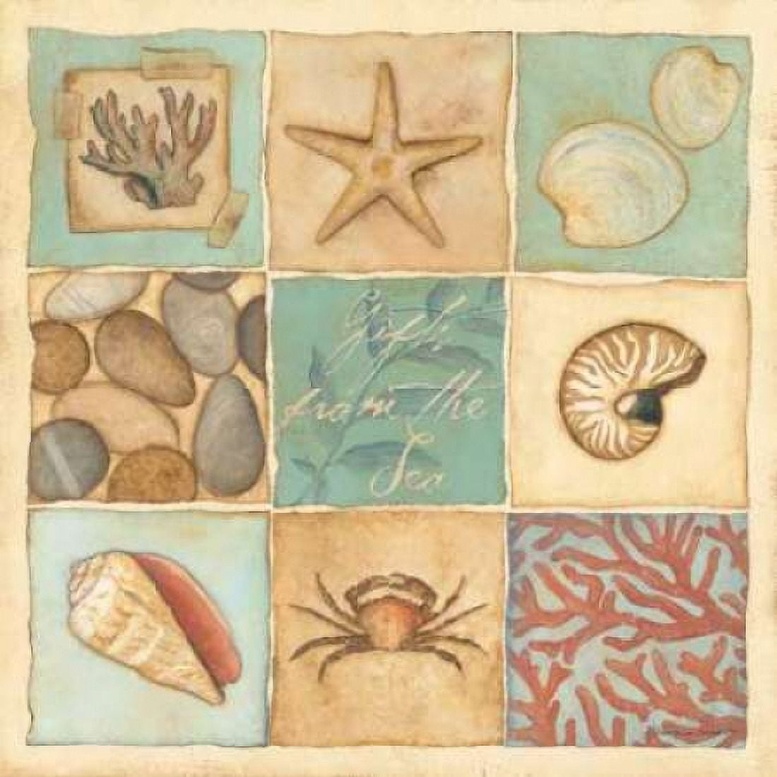 Posterazzi Coastal Collage I Canvas Art - Stephanie Marrott (24 x 24)