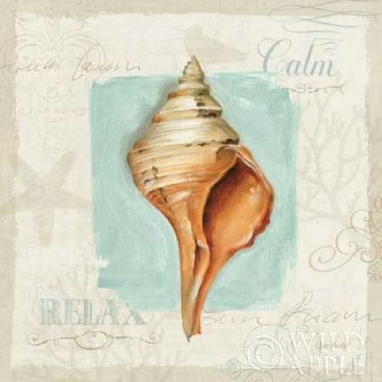 Posterazzi Coastal Jewels I Canvas Art - Lisa Audit (24 x 24)