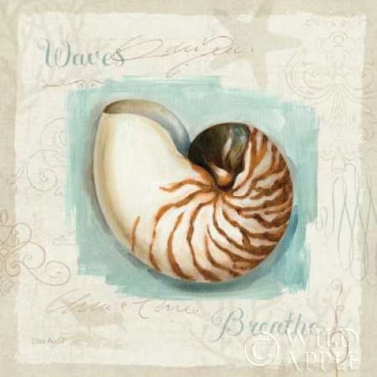 Posterazzi Coastal Jewels II Canvas Art - Lisa Audit (24 x 24)