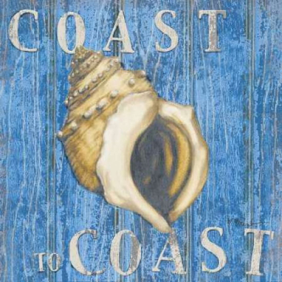 Posterazzi Coastal USA Conch Canvas Art - Paul Brent (24 x 24)