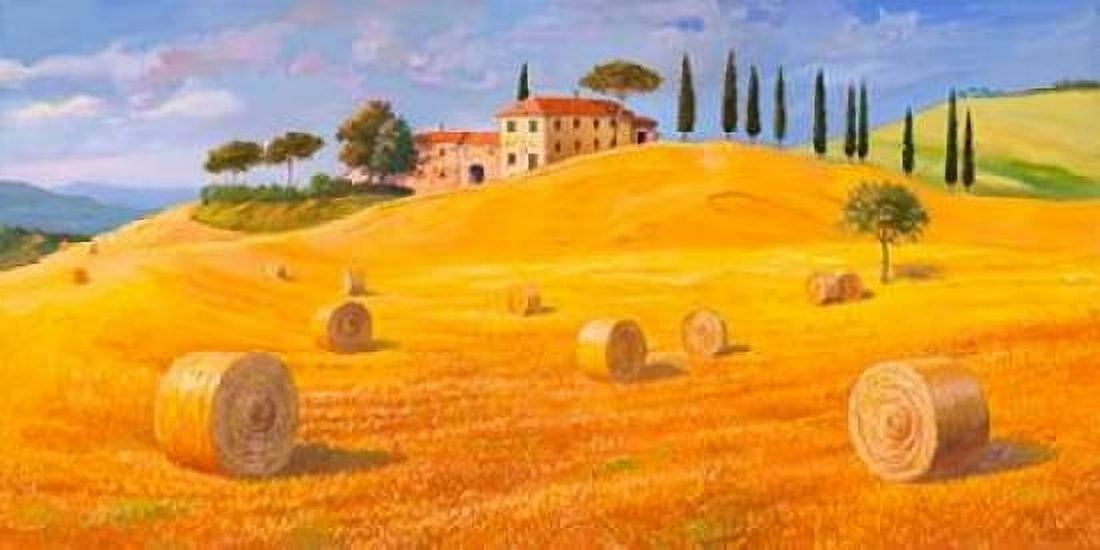 Posterazzi Colline in Toscana Canvas Art - Adriano Galasso (10 x 20)