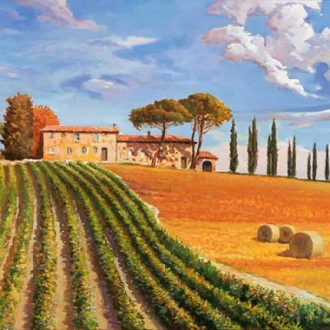 Posterazzi Colline toscane Canvas Art - Adriano Galasso (24 x 24)