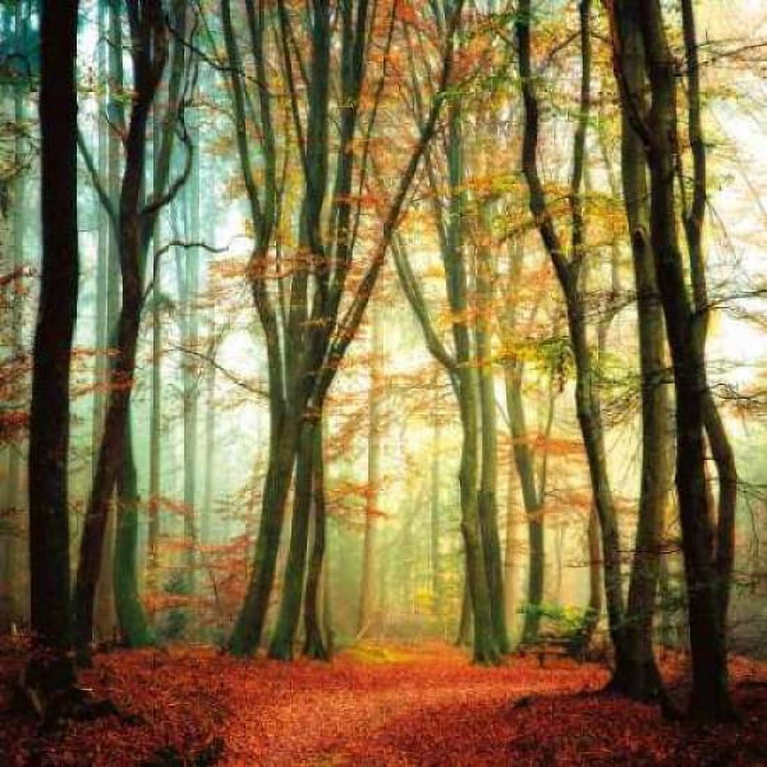 Posterazzi Colorfall Canvas Art - Lars Van De Goor (24 x 24)