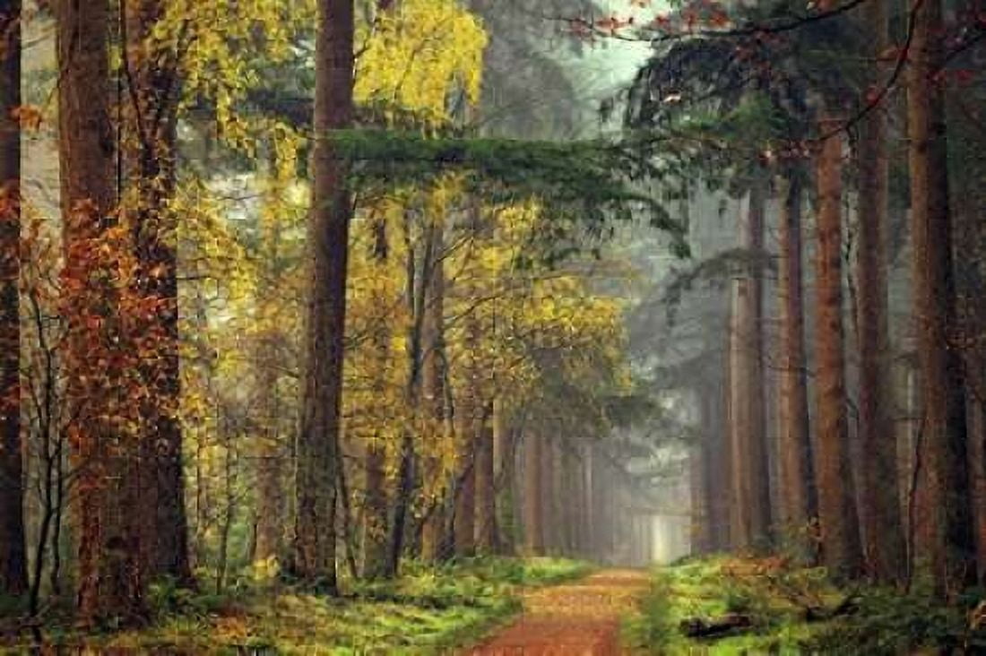 Posterazzi Colors of the Forest Canvas Art - Lars Van de Goor (24 x 36)