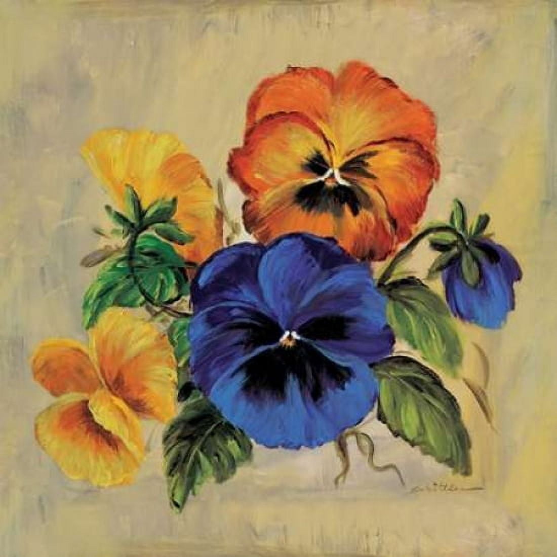 Posterazzi Colourful pansies Canvas Art - Katharina Schottler (24 x 24)