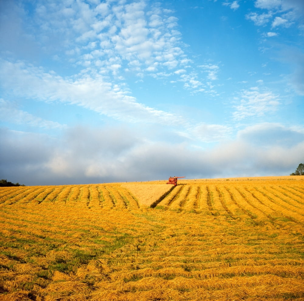 Posterazzi Combine Harvesting A Wheat Field Canvas Art - The Irish Image Collection Design Pics (24 x 24)