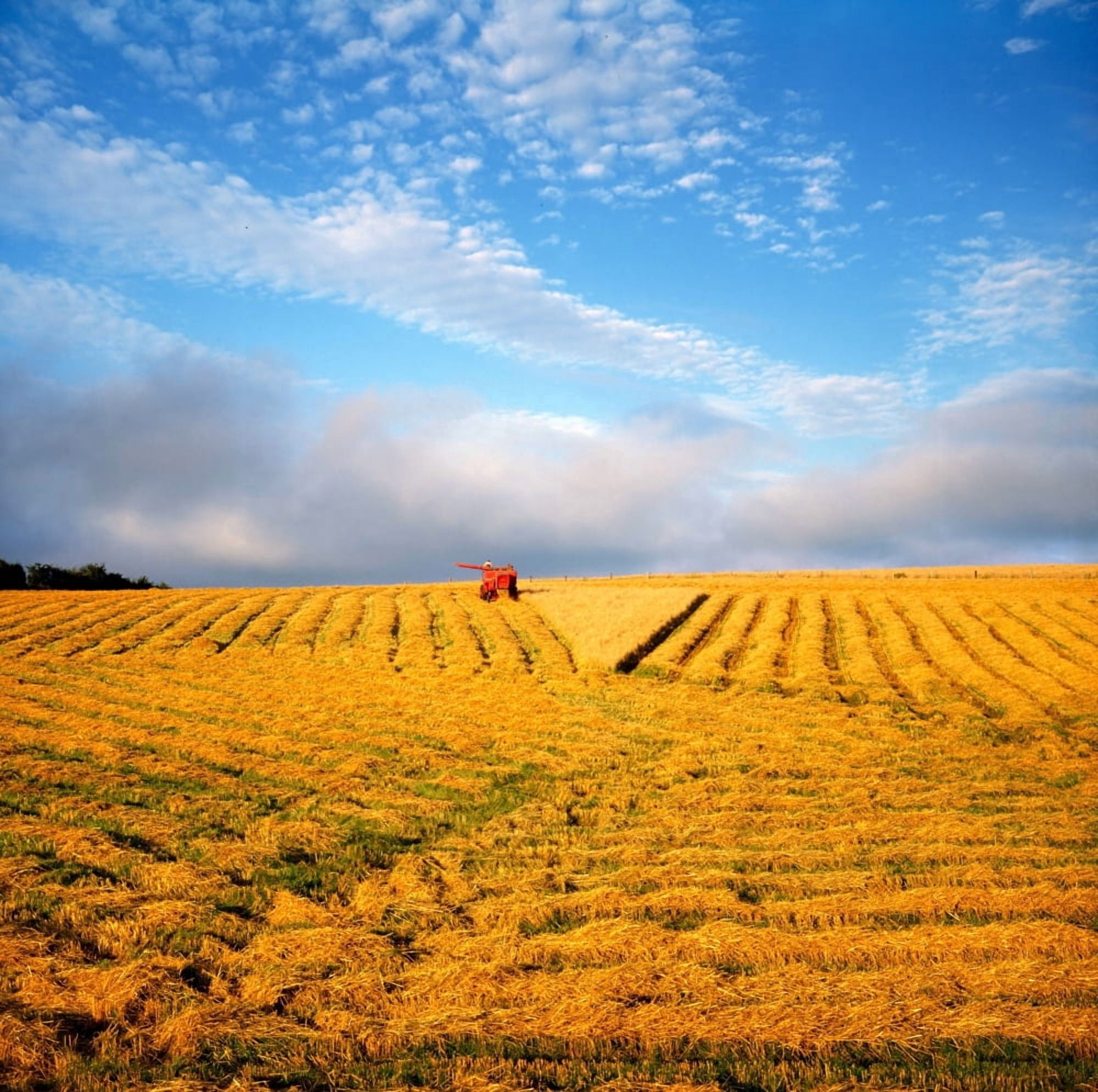 Posterazzi Combine Harvesting Wheat Ireland Canvas Art - The Irish Image Collection Design Pics (24 x 24)