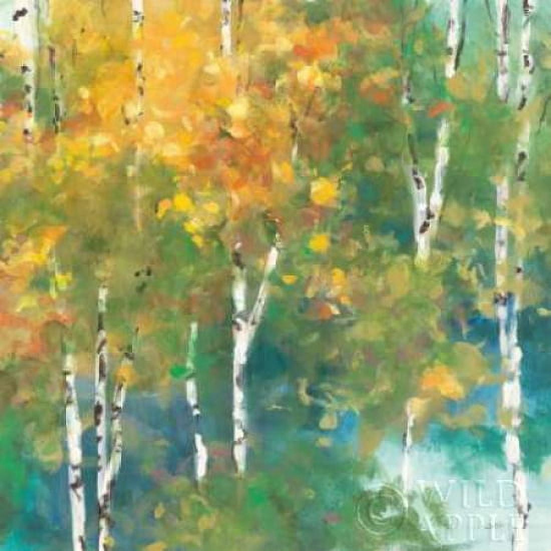 Posterazzi Confetti I Canvas Art - Julia Purinton (24 x 24)