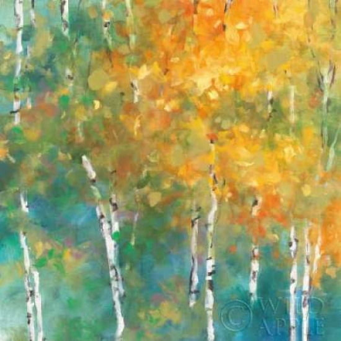 Posterazzi Confetti II Canvas Art - Julia Purinton (24 x 24)