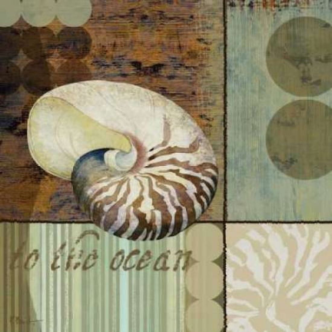 Posterazzi Contemporary Shell II Canvas Art - Paul Brent (24 x 24)
