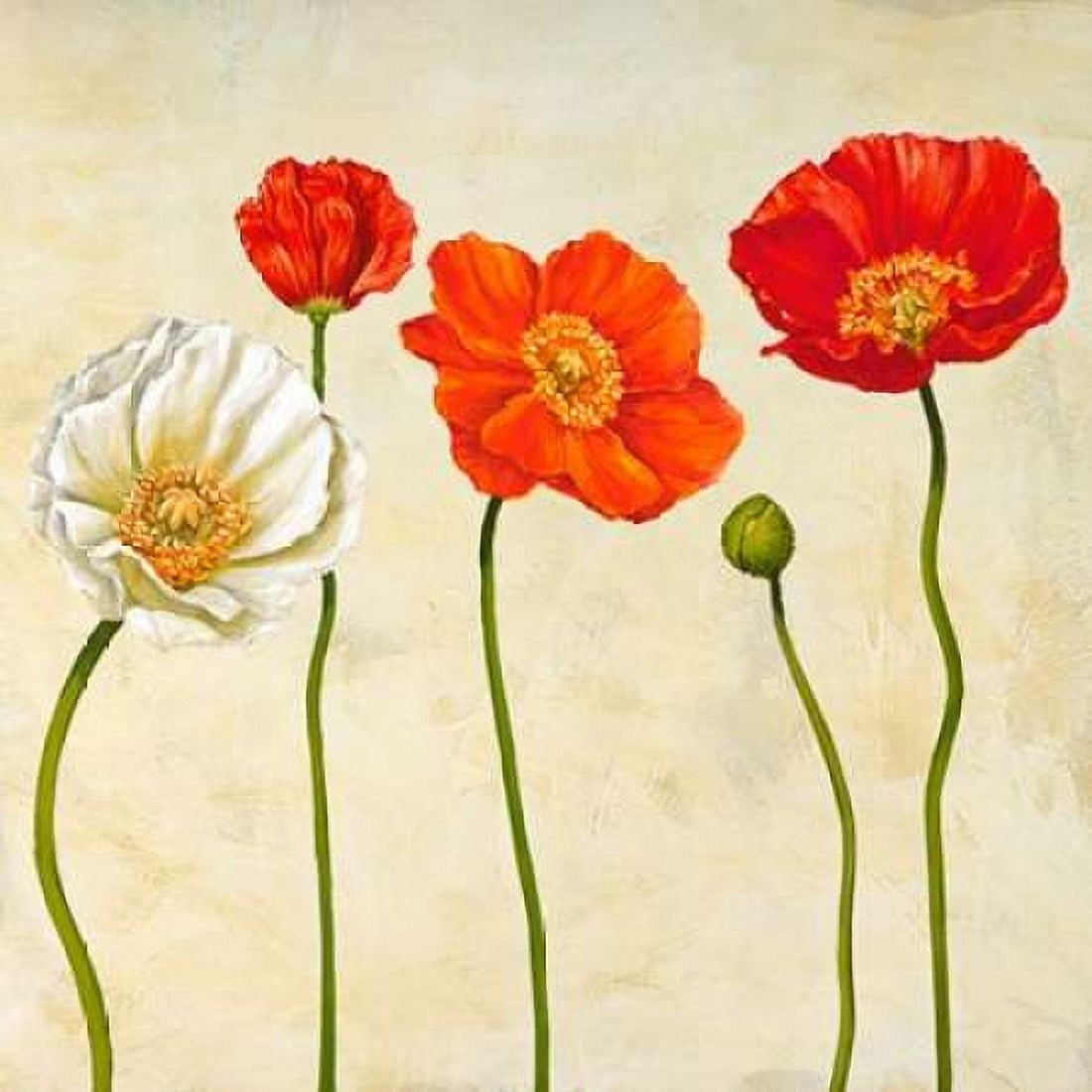 Posterazzi Coquelicots Canvas Art - Cynthia Ann (24 x 24)