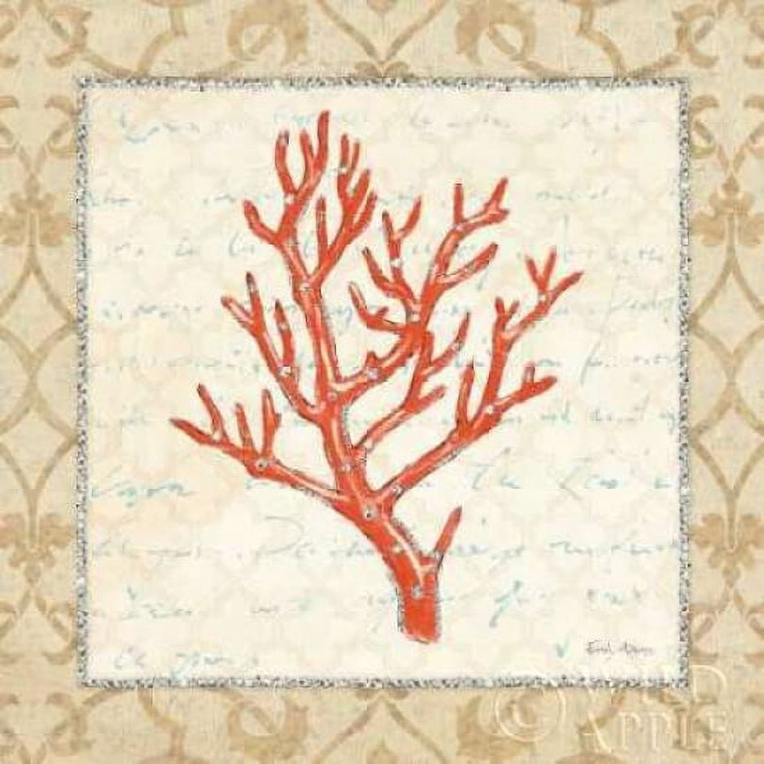 Posterazzi Coral Beauty Light II Canvas Art - Emily Adams (24 x 24)