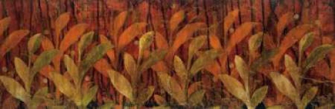 Posterazzi Coral Fields Canvas Art - Liz Jardine (12 x 36)