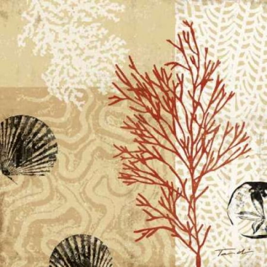 Posterazzi Coral Impressions II Canvas Art - Tandi Venter (24 x 24)