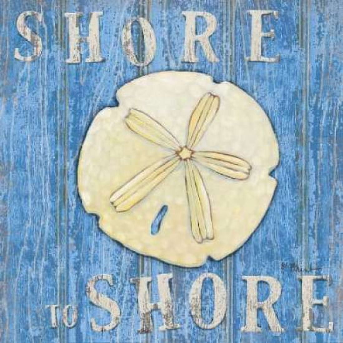 Posterazzi Cosatal USA Sand Dollar Canvas Art - Paul Brent (24 x 24)