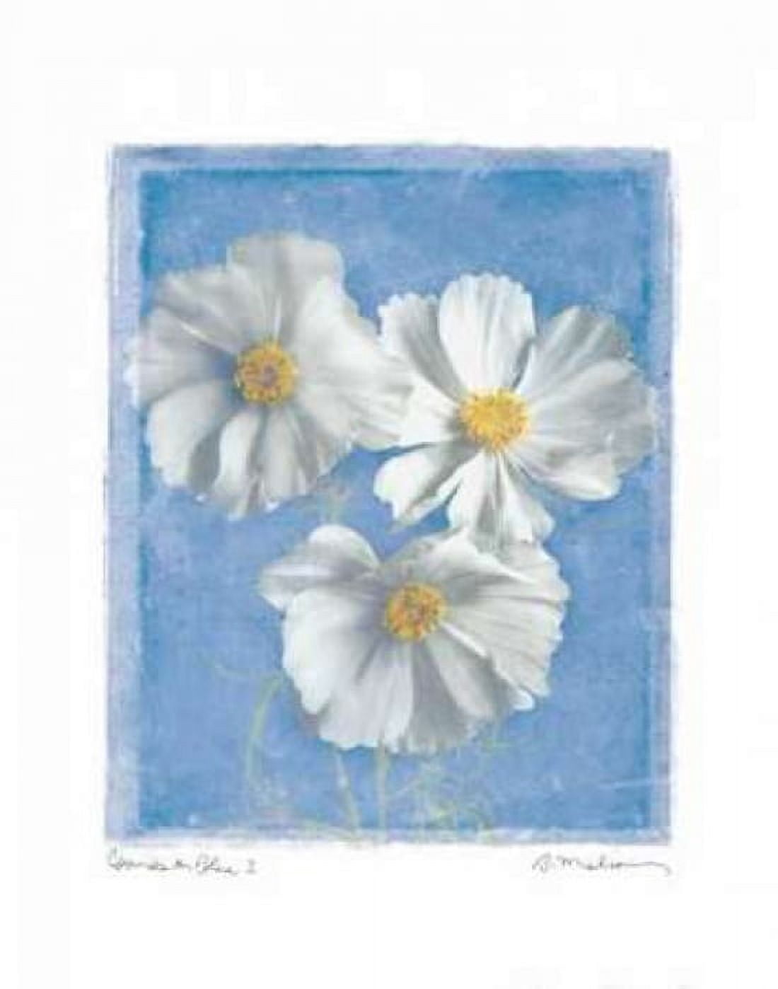 Posterazzi Cosmos on Blue I Canvas Art - Amy Melious (22 x 28)
