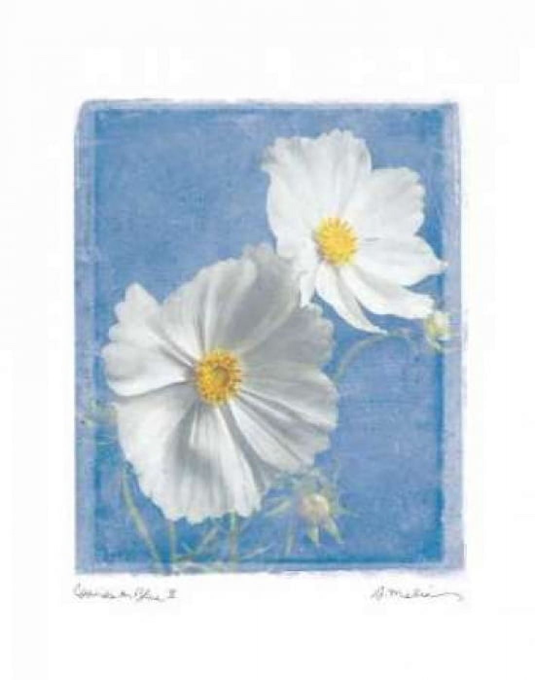 Posterazzi Cosmos on Blue II Canvas Art - Amy Melious (22 x 28)