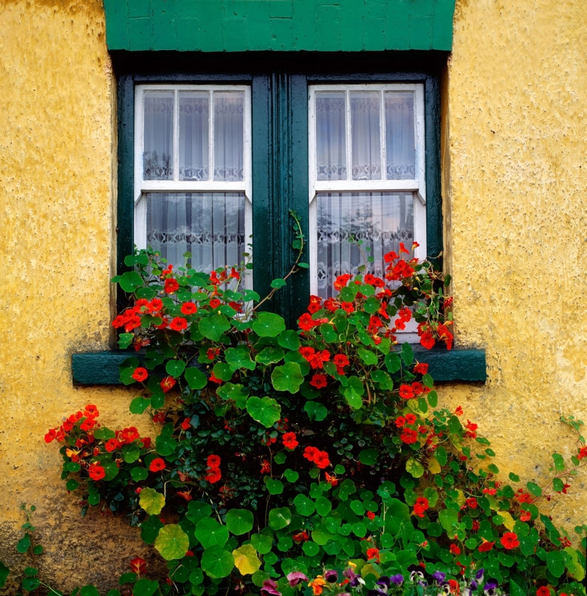 Posterazzi Cottage Window Co Antrim Ireland Canvas Art - The Irish Image Collection Design Pics (24 x 24)