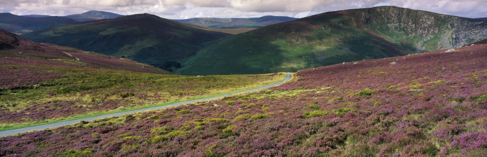 Posterazzi Country Road Passing Through A Landscape Luggala County Wicklow Republic Of Ireland Canvas Art - The Irish Image Collection Design Pics (44 x 14)