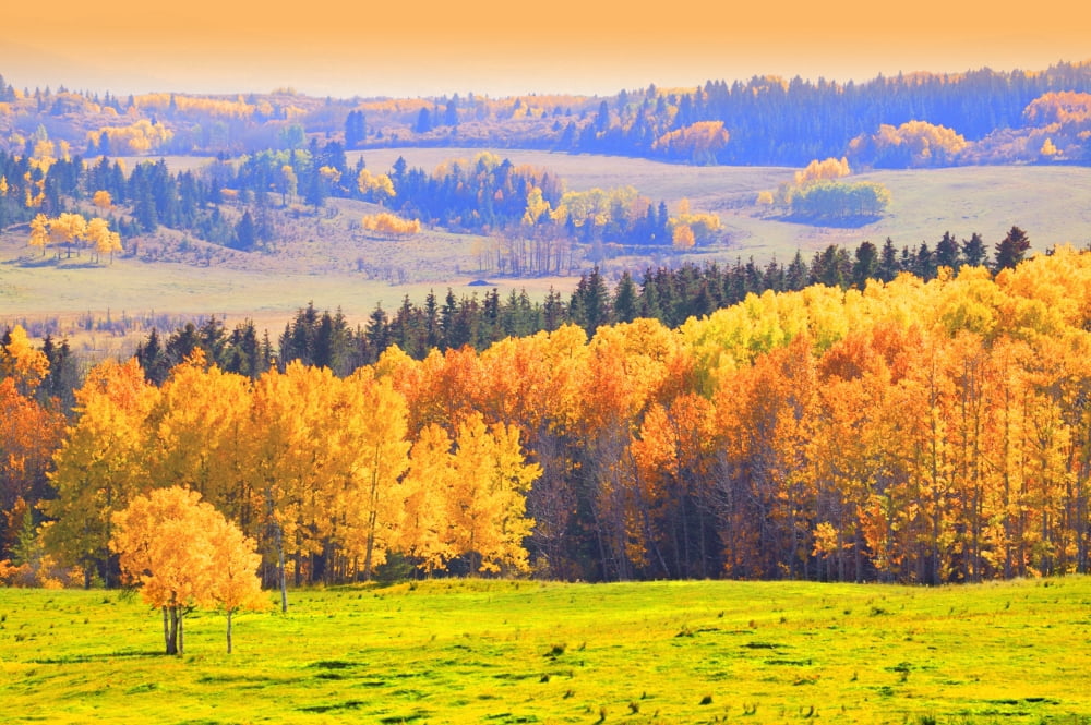 Posterazzi Countryside In Autumn Canvas Art - Don Hammond Design Pics (34 x 22)