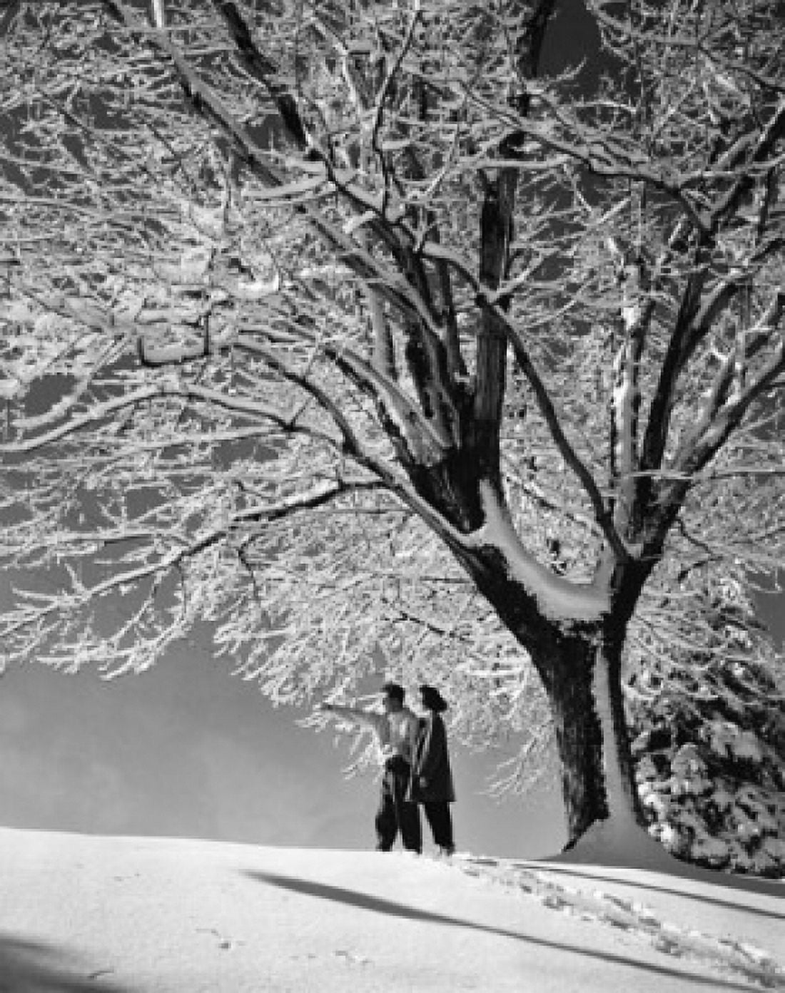 Posterazzi Couple standing in snow covered field Canvas Art -  (24 x 36)