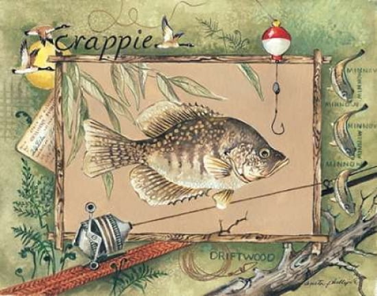 Posterazzi Crappie Canvas Art - Anita Phillips (22 x 28)