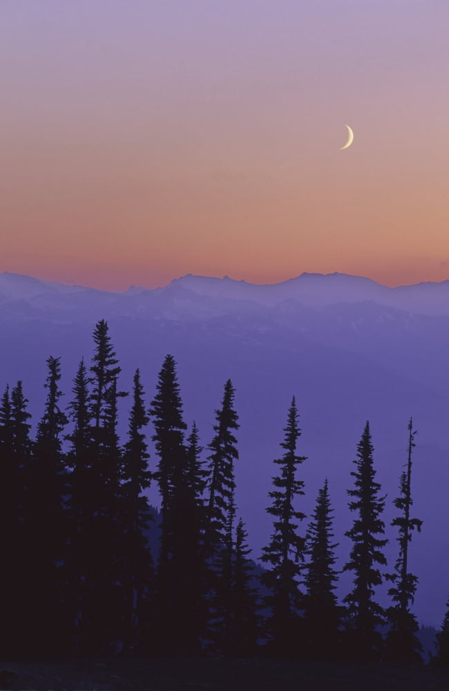Posterazzi Crescent Moon Rises In Sunset Over Mountains Whistler Bc Canada Canvas Art - Leanna Rathkelly Design Pics (22 x 34)