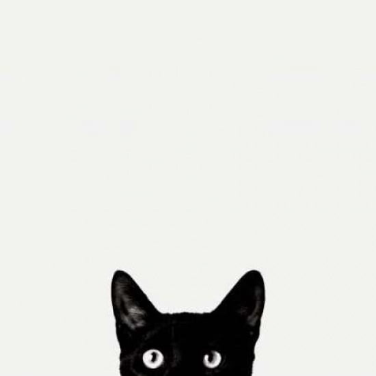 Posterazzi Curiosity Canvas Art - Jon Bertelli (24 x 24)