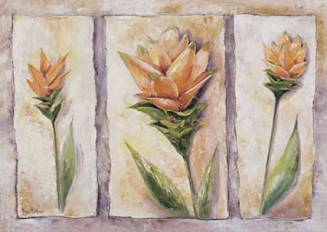 Posterazzi Curuma cycas Canvas Art - Rian Withaar (20 x 28)